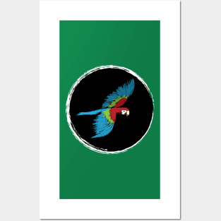 Artwork of Scarlet Macaw Parrot in Flight II Posters and Art